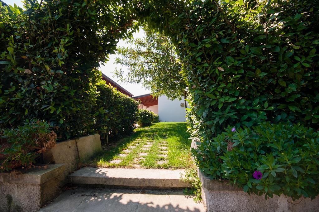 Agriturismo Il Megalite 기우르디냐노 외부 사진
